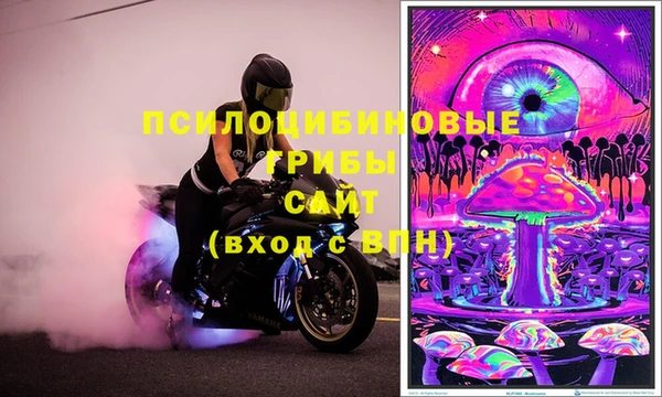 MDMA Карпинск
